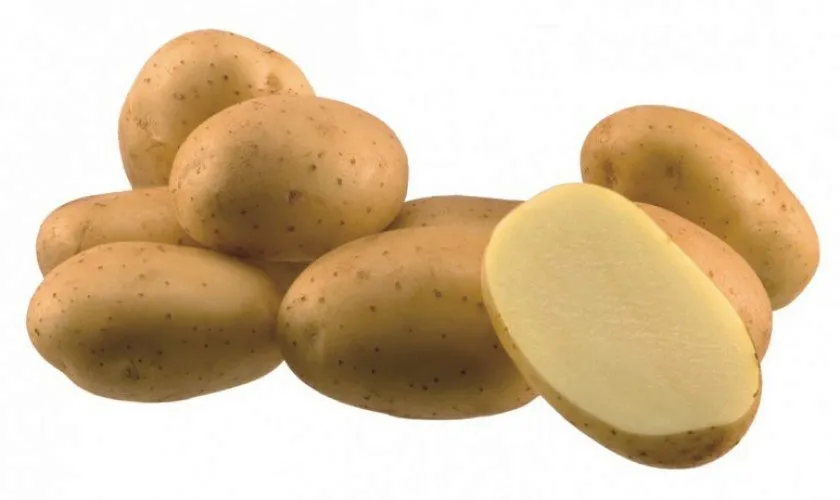 картофель от производителя КРУПНЫЙ в Лагань